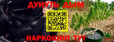 дмт Новозыбков