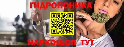 стафф Новодвинск