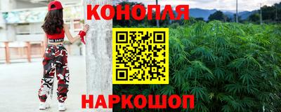 стафф Новодвинск