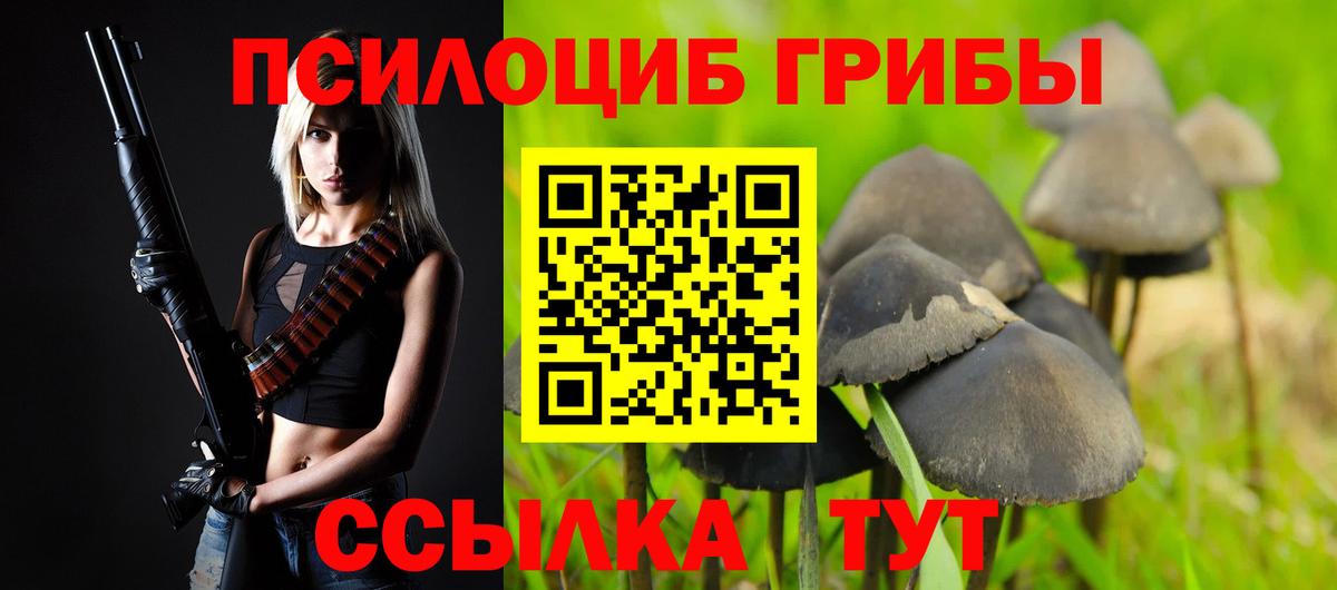 Галлюциногенные грибы GOLDEN TEACHER Саров