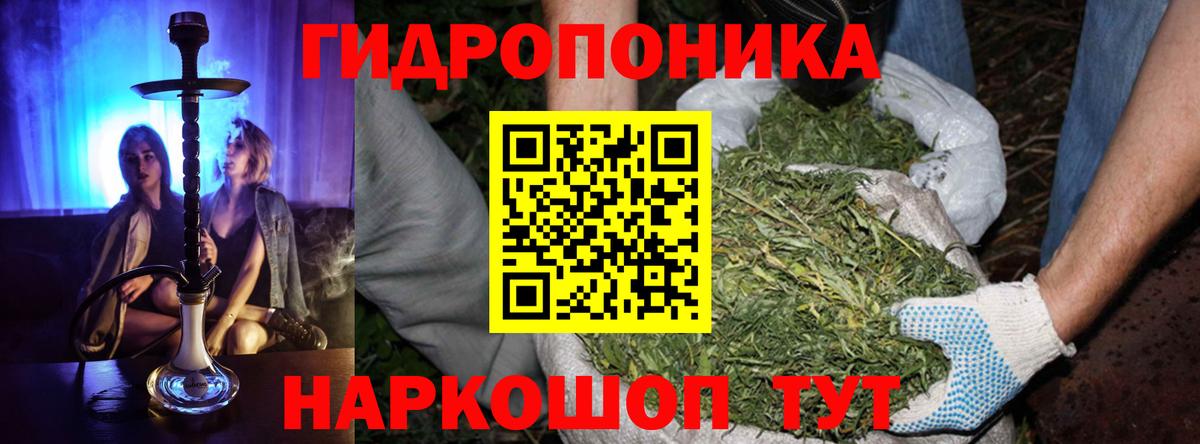 МАРИХУАНА SATIVA & INDICA  Марихуана планчик  Вход с VPN  Конопля AK-47  Саров 